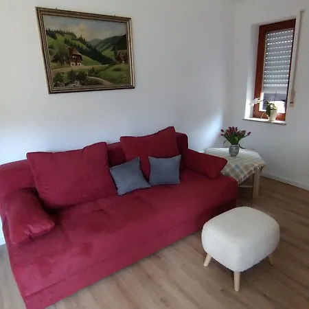 Apartment-black-forest Apartamento Ortenberg (Baden-Wurttemberg)